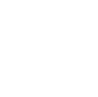WSU logo